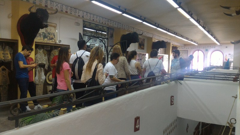 P 20170405 105627 [1600x1200]